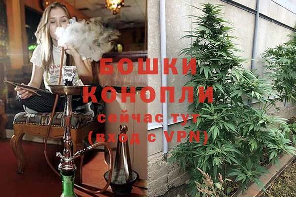 COCAINE Богданович