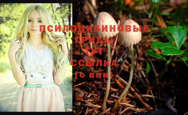 COCAINE Богданович
