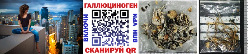 Галлюциногенные грибы MAGIC MUSHROOMS Макаров